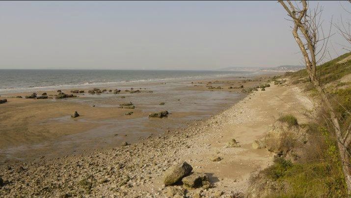 les vaches noires villers sur mer