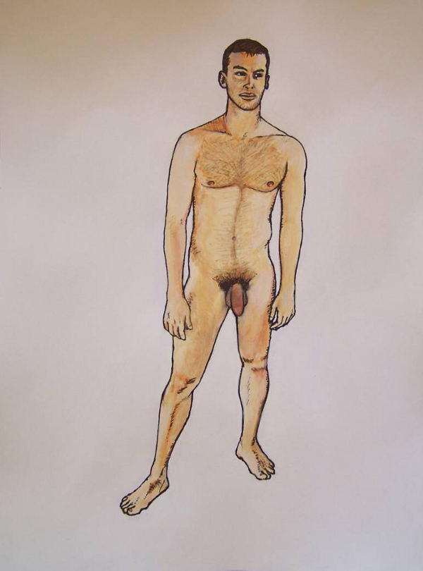 dessins naturiste