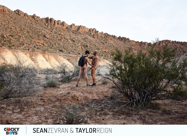 2 amis naturistes gays nus jouent en pleine nature